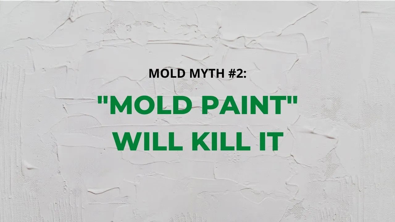 Does Paint Kill Mold 